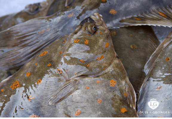 PLIE 3/400 PT.BATEAU