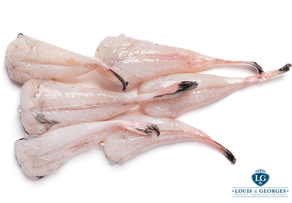 QUEUE DE LOTTE 1/2 EXTRA