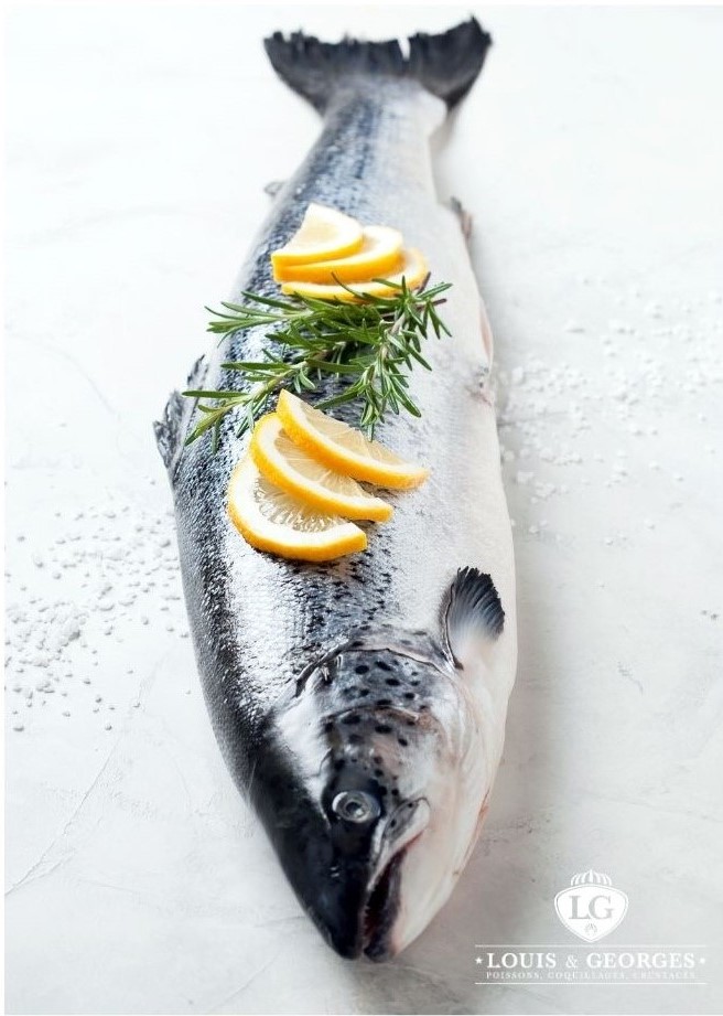 SAUMON LABEL.RGE 3/4