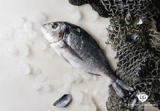 [DORADE ROY  T2] DORADE ROYALE 5/1000