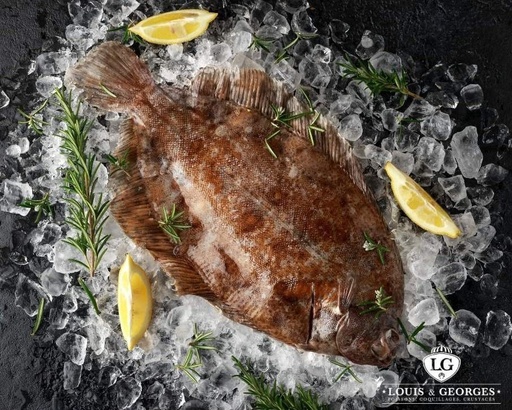 [LS PAC T2] LIMANDE SOLE PAC 4/600