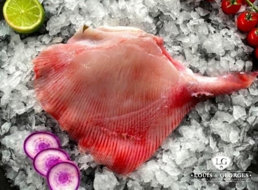 [RAIE 2] AILE DE RAIE 2/3